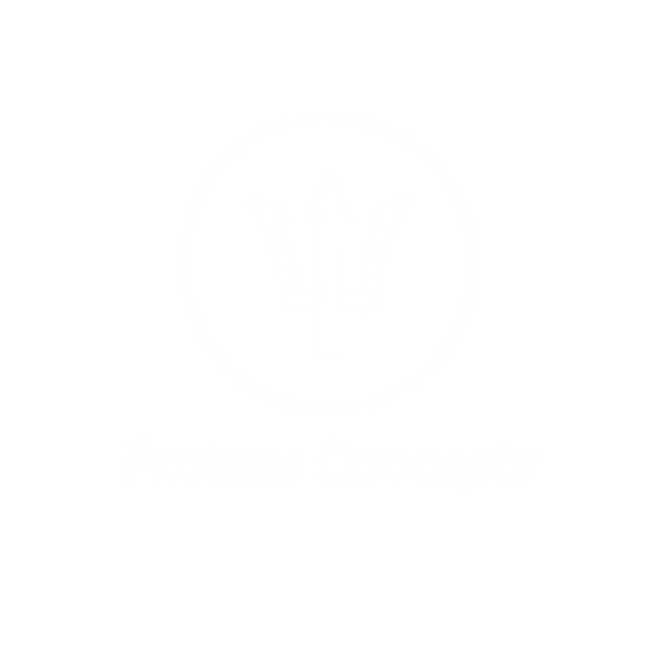 Proteus Concepts